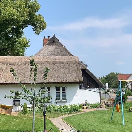 Ferienhaus Alte Schule Rambin Auf Ruegen Ngoại thất bức ảnh